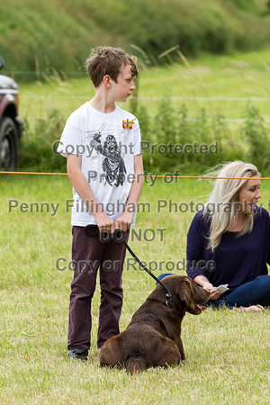 Grove_and_Rufford_Terrier_and_Lurcher_Show_16th_July_2016_092