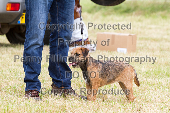 Grove_and_Rufford_Terrier_and_Lurcher_Show_16th_July_2016_027