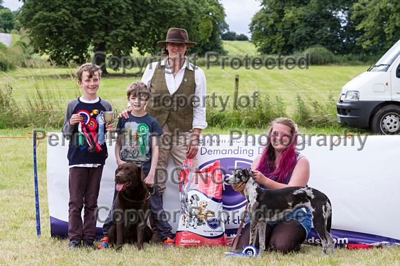 Grove_and_Rufford_Terrier_and_Lurcher_Show_16th_July_2016_228
