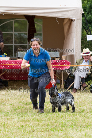 Grove_and_Rufford_Terrier_and_Lurcher_Show_16th_July_2016_182