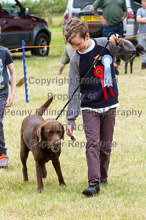 Grove_and_Rufford_Terrier_and_Lurcher_Show_16th_July_2016_194