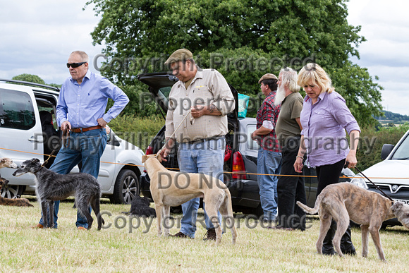 Grove_and_Rufford_Terrier_and_Lurcher_Show_16th_July_2016_118