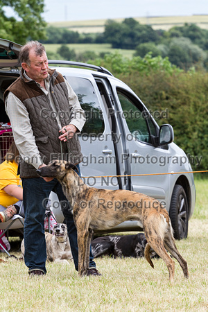 Grove_and_Rufford_Terrier_and_Lurcher_Show_16th_July_2016_154