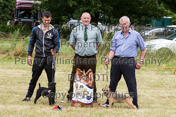 Grove_and_Rufford_Terrier_and_Lurcher_Show_16th_July_2016_144