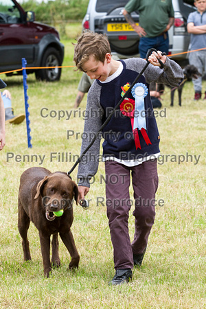 Grove_and_Rufford_Terrier_and_Lurcher_Show_16th_July_2016_195