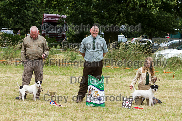 Grove_and_Rufford_Terrier_and_Lurcher_Show_16th_July_2016_169