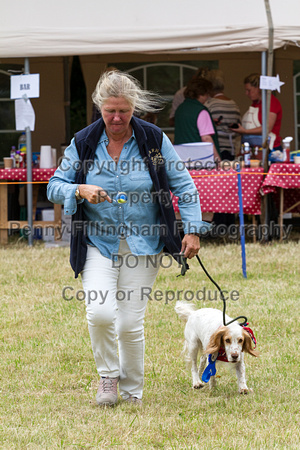 Grove_and_Rufford_Terrier_and_Lurcher_Show_16th_July_2016_188