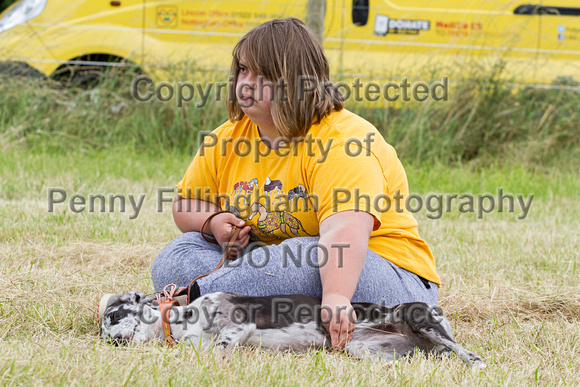 Grove_and_Rufford_Terrier_and_Lurcher_Show_16th_July_2016_010