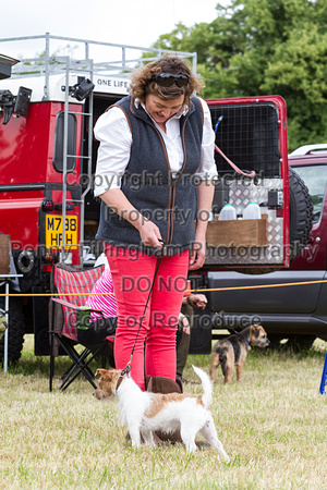 Grove_and_Rufford_Terrier_and_Lurcher_Show_16th_July_2016_130