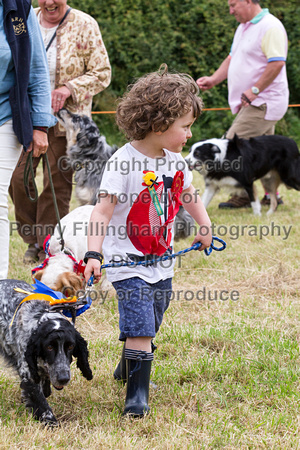 Grove_and_Rufford_Terrier_and_Lurcher_Show_16th_July_2016_219
