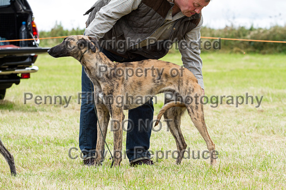 Grove_and_Rufford_Terrier_and_Lurcher_Show_16th_July_2016_166