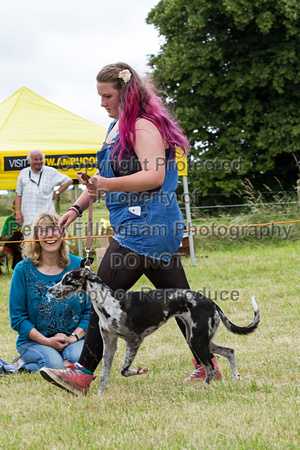 Grove_and_Rufford_Terrier_and_Lurcher_Show_16th_July_2016_213