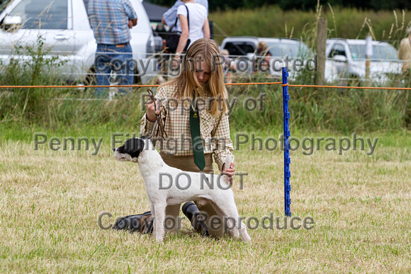 Grove_and_Rufford_Terrier_and_Lurcher_Show_16th_July_2016_126