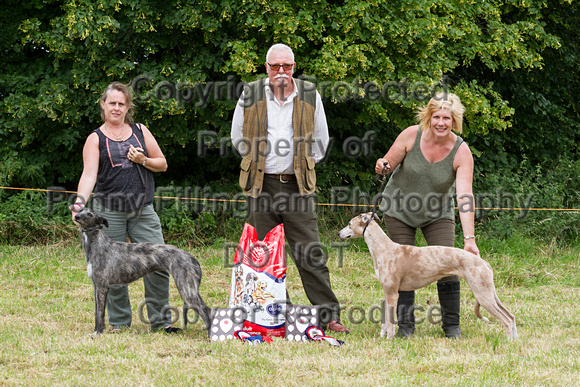Grove_and_Rufford_Terrier_and_Lurcher_Show_16th_July_2016_173