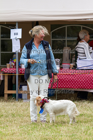 Grove_and_Rufford_Terrier_and_Lurcher_Show_16th_July_2016_183