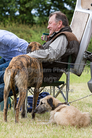 Grove_and_Rufford_Terrier_and_Lurcher_Show_16th_July_2016_029