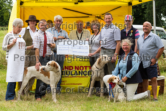 Grove_and_Rufford_Terrier_and_Lurcher_Show_16th_July_2016_175