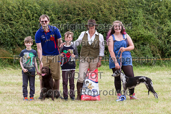 Grove_and_Rufford_Terrier_and_Lurcher_Show_16th_July_2016_225