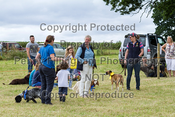 Grove_and_Rufford_Terrier_and_Lurcher_Show_16th_July_2016_181