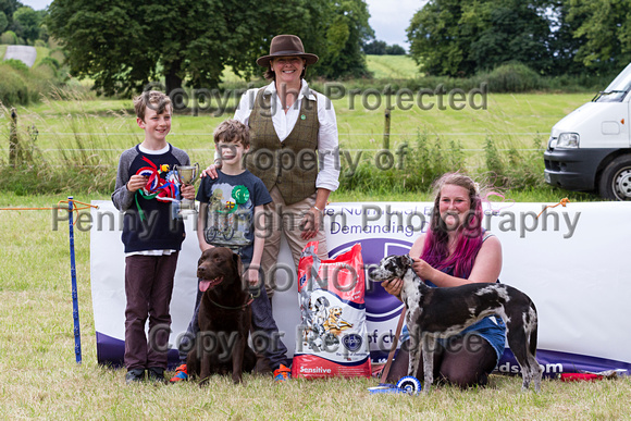 Grove_and_Rufford_Terrier_and_Lurcher_Show_16th_July_2016_226