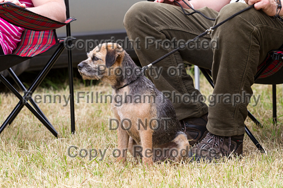 Grove_and_Rufford_Terrier_and_Lurcher_Show_16th_July_2016_106