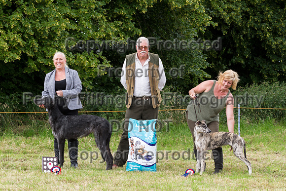 Grove_and_Rufford_Terrier_and_Lurcher_Show_16th_July_2016_142