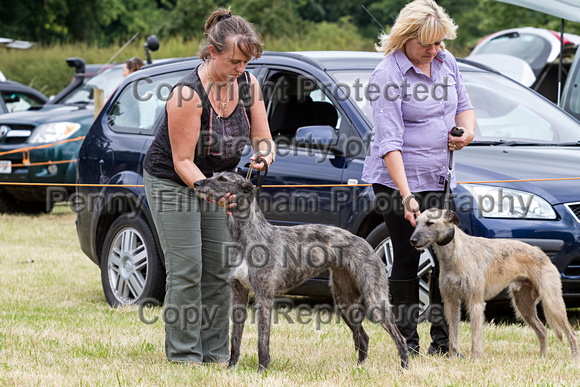 Grove_and_Rufford_Terrier_and_Lurcher_Show_16th_July_2016_147