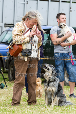 Grove_and_Rufford_Terrier_and_Lurcher_Show_16th_July_2016_040