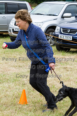 Grove_and_Rufford_Terrier_and_Lurcher_Show_16th_July_2016_199