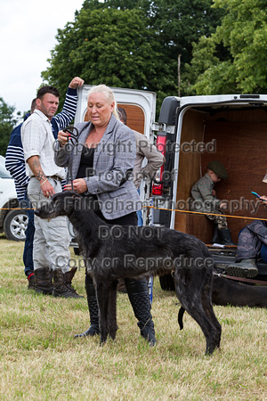 Grove_and_Rufford_Terrier_and_Lurcher_Show_16th_July_2016_134