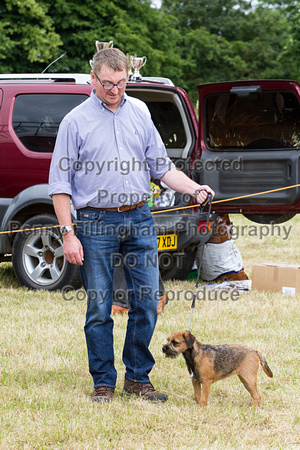 Grove_and_Rufford_Terrier_and_Lurcher_Show_16th_July_2016_024