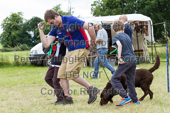 Grove_and_Rufford_Terrier_and_Lurcher_Show_16th_July_2016_206