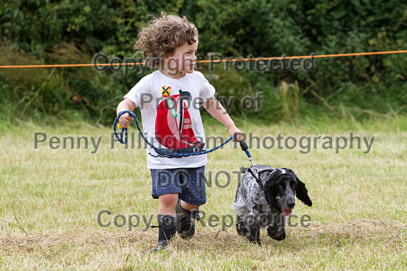 Grove_and_Rufford_Terrier_and_Lurcher_Show_16th_July_2016_094