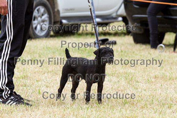 Grove_and_Rufford_Terrier_and_Lurcher_Show_16th_July_2016_102