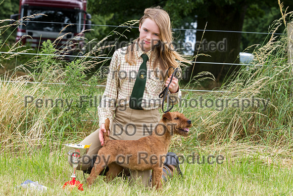 Grove_and_Rufford_Terrier_and_Lurcher_Show_16th_July_2016_005
