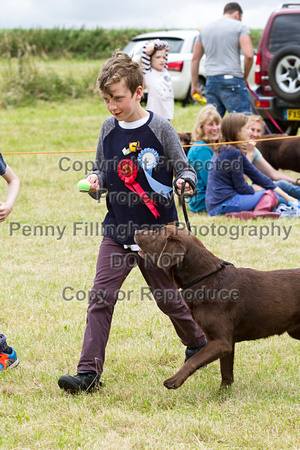 Grove_and_Rufford_Terrier_and_Lurcher_Show_16th_July_2016_190