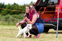 Grove_and_Rufford_Terrier_and_Lurcher_Show_16th_July_2016_008
