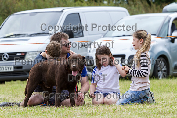 Grove_and_Rufford_Terrier_and_Lurcher_Show_16th_July_2016_179