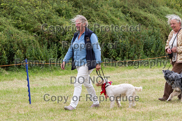 Grove_and_Rufford_Terrier_and_Lurcher_Show_16th_July_2016_214