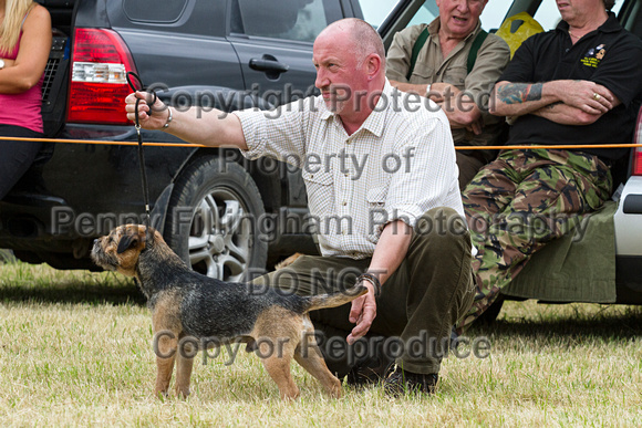 Grove_and_Rufford_Terrier_and_Lurcher_Show_16th_July_2016_044