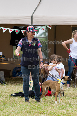 Grove_and_Rufford_Terrier_and_Lurcher_Show_16th_July_2016_184