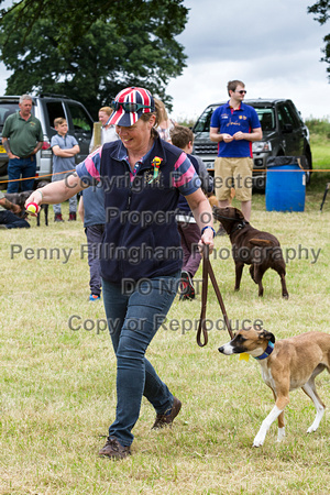 Grove_and_Rufford_Terrier_and_Lurcher_Show_16th_July_2016_202