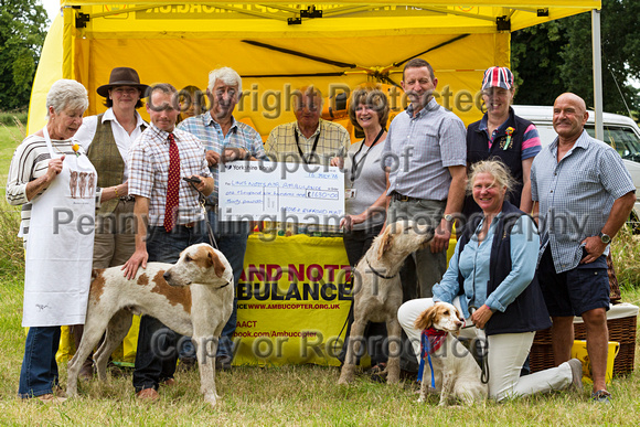 Grove_and_Rufford_Terrier_and_Lurcher_Show_16th_July_2016_174