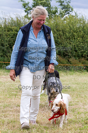 Grove_and_Rufford_Terrier_and_Lurcher_Show_16th_July_2016_220