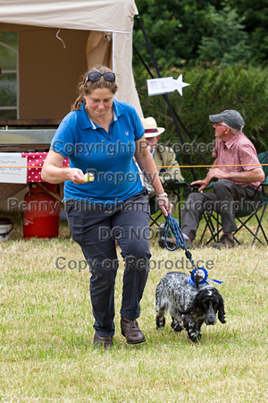 Grove_and_Rufford_Terrier_and_Lurcher_Show_16th_July_2016_187