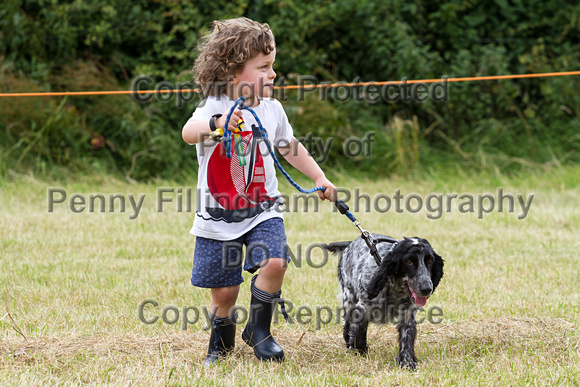 Grove_and_Rufford_Terrier_and_Lurcher_Show_16th_July_2016_095