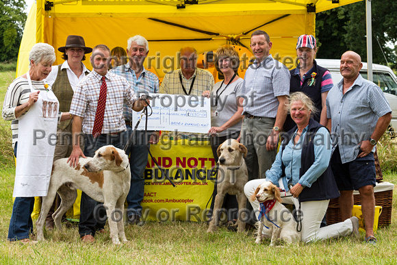 Grove_and_Rufford_Terrier_and_Lurcher_Show_16th_July_2016_176