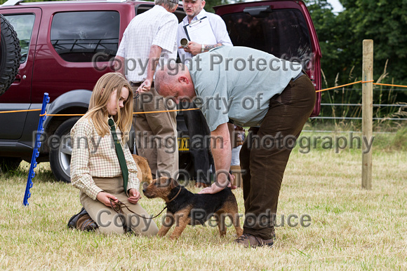 Grove_and_Rufford_Terrier_and_Lurcher_Show_16th_July_2016_131