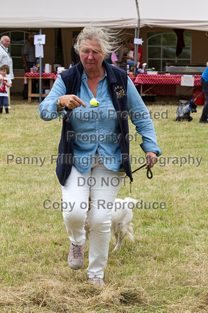 Grove_and_Rufford_Terrier_and_Lurcher_Show_16th_July_2016_197