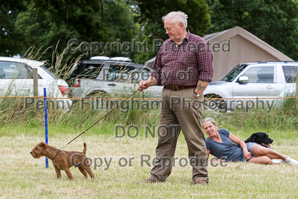 Grove_and_Rufford_Terrier_and_Lurcher_Show_16th_July_2016_061